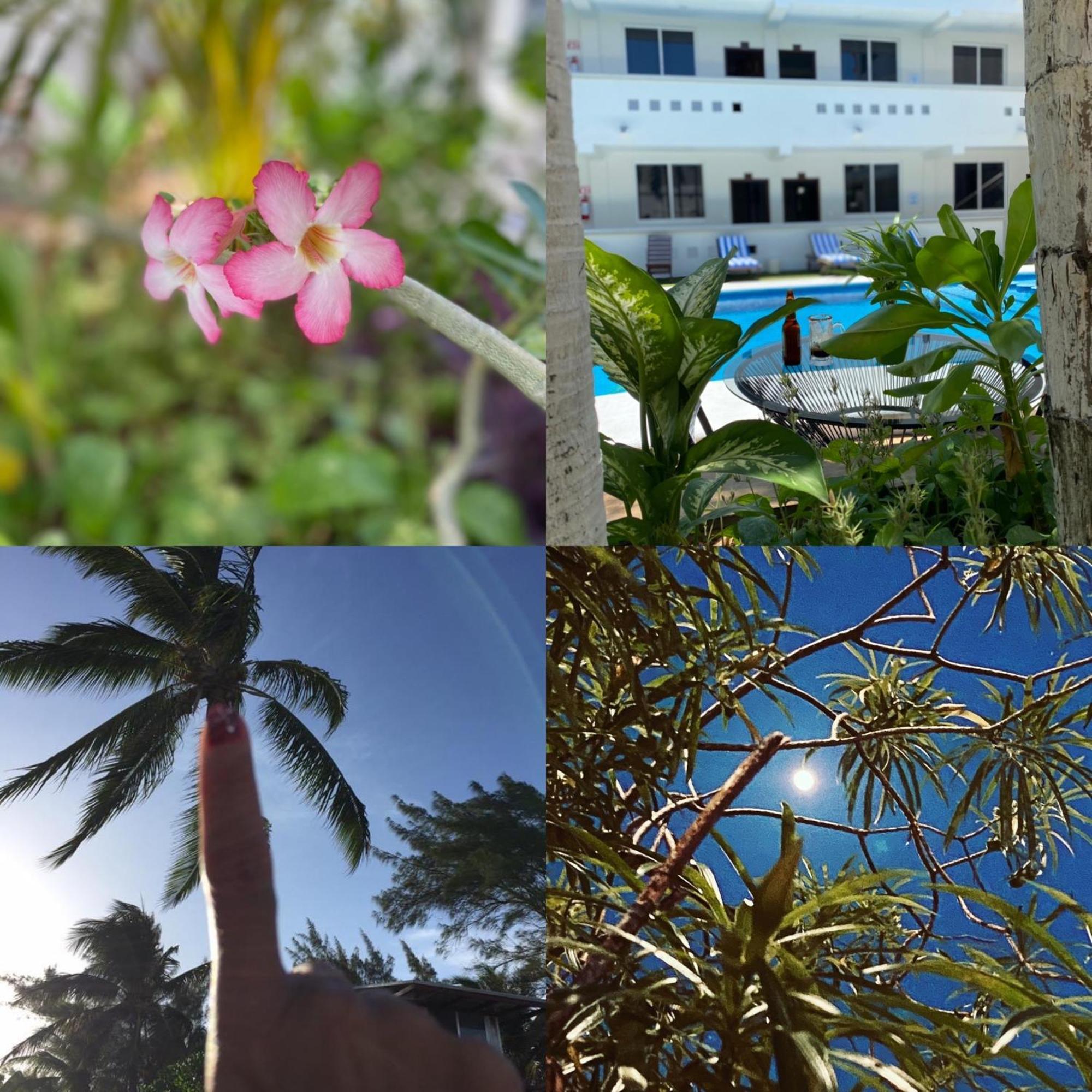 Hotel Balxiba Playa del Carmen Zewnętrze zdjęcie